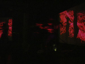 http://www.grographics.com/fiji/alanalo/DSCF0020.jpg