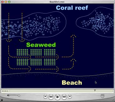 http://www.grographics.com/fiji/seaweed/seaweed.jpg