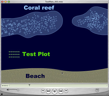 http://www.grographics.com/fiji/seaweed/testplot.jpg