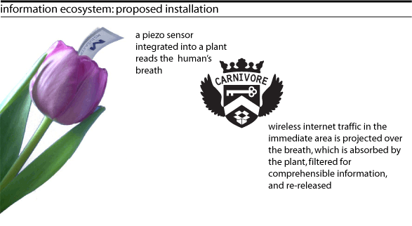 http://www.grographics.com/risd/DmInfoBreath/InfoBreath-tulip.png