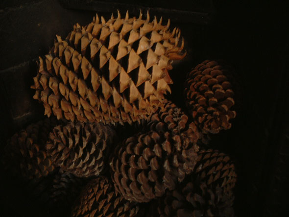 http://www.grographics.com/risd/DmOptics/light-03.jpg