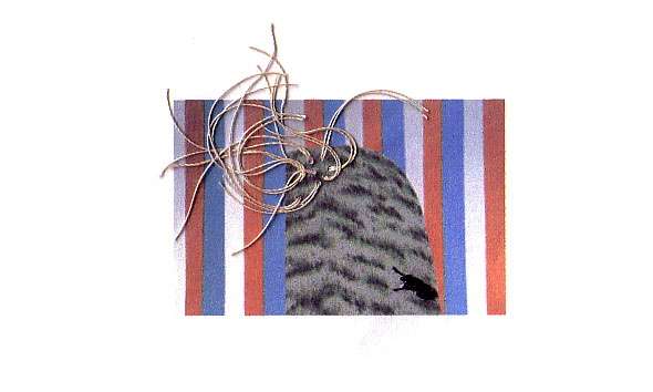 http://www.grographics.com/sewnsummer05/images/suehavens.jpg