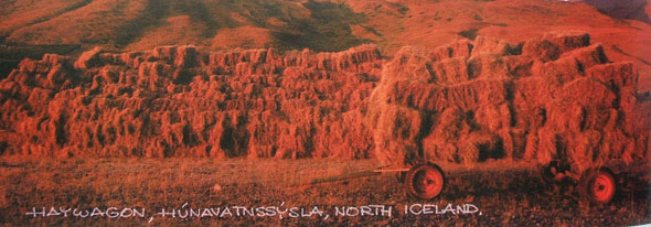 http://www.grographics.com/swedishideas/BrickWagon/haywagon.jpg