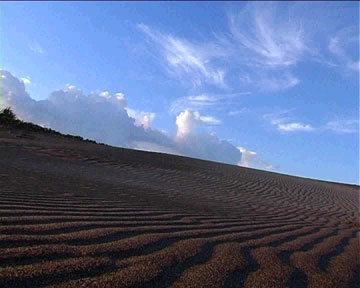 http://www.grographics.com/webactivism/blogimages/dunes.jpg