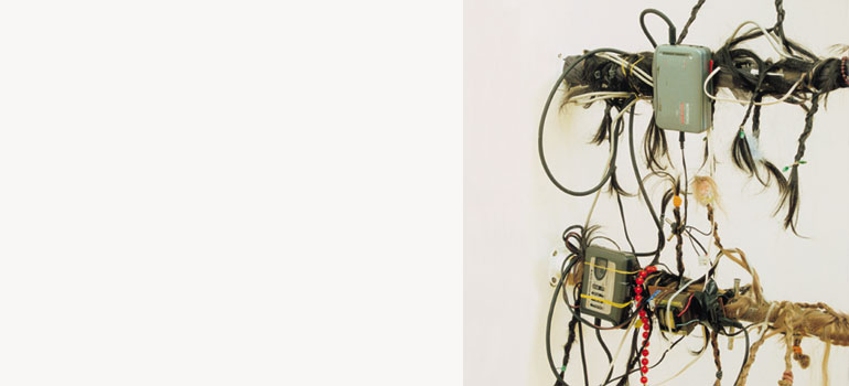 http://www.grographics.com/wiki/images/downloaded-art/cernicky/modrinovekvety_detail2.jpg
